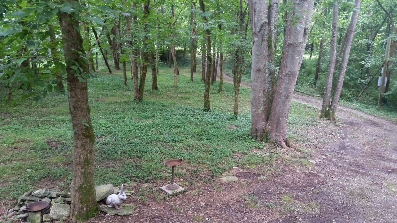 Photo of Others in Keene