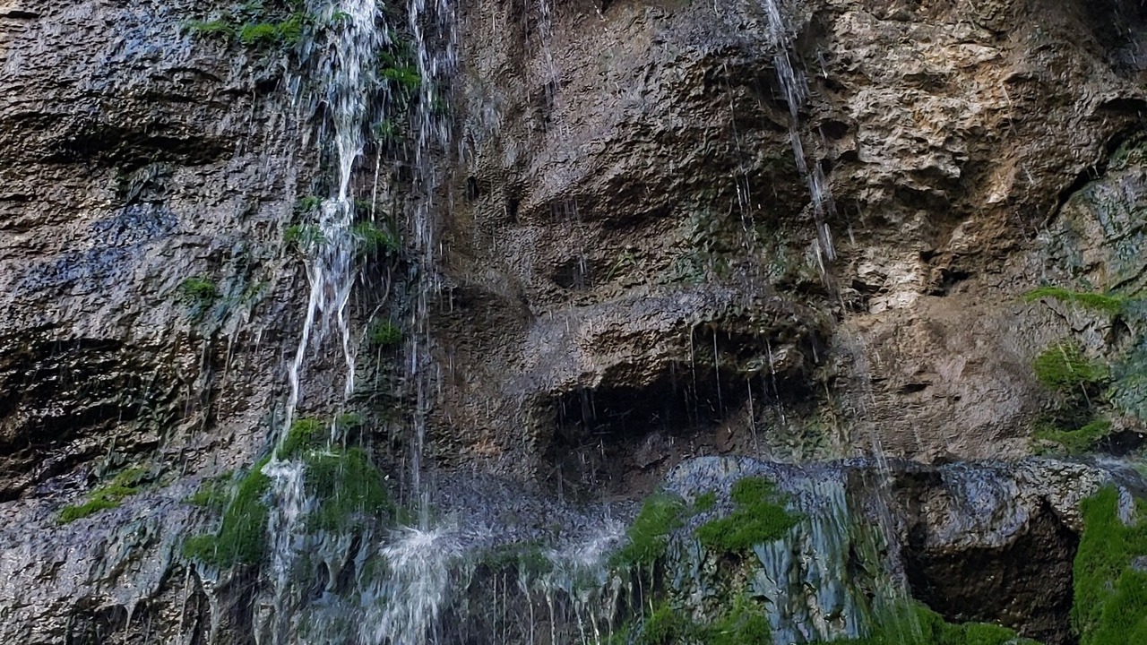 Photo of Others in Keene