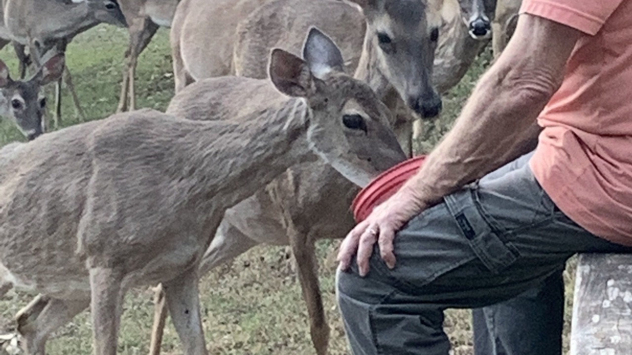 Photo of Outdoor in Wimberley
