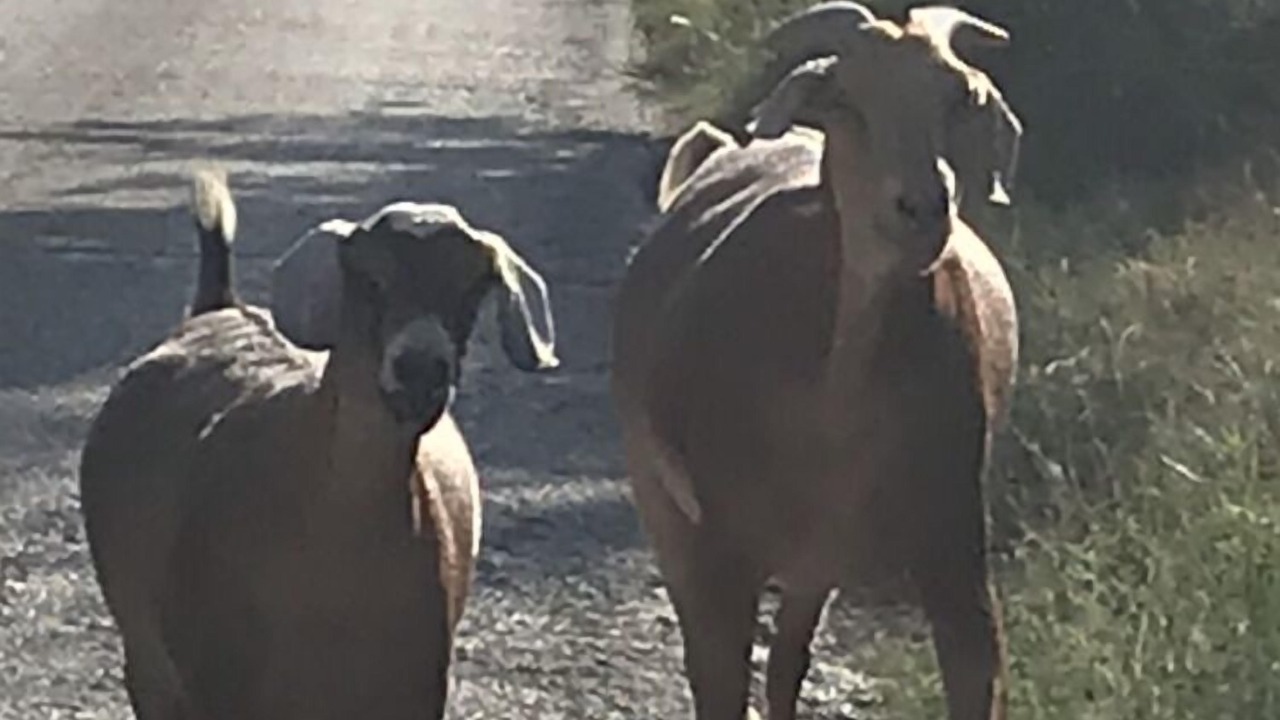 Photo of Others in Wimberley