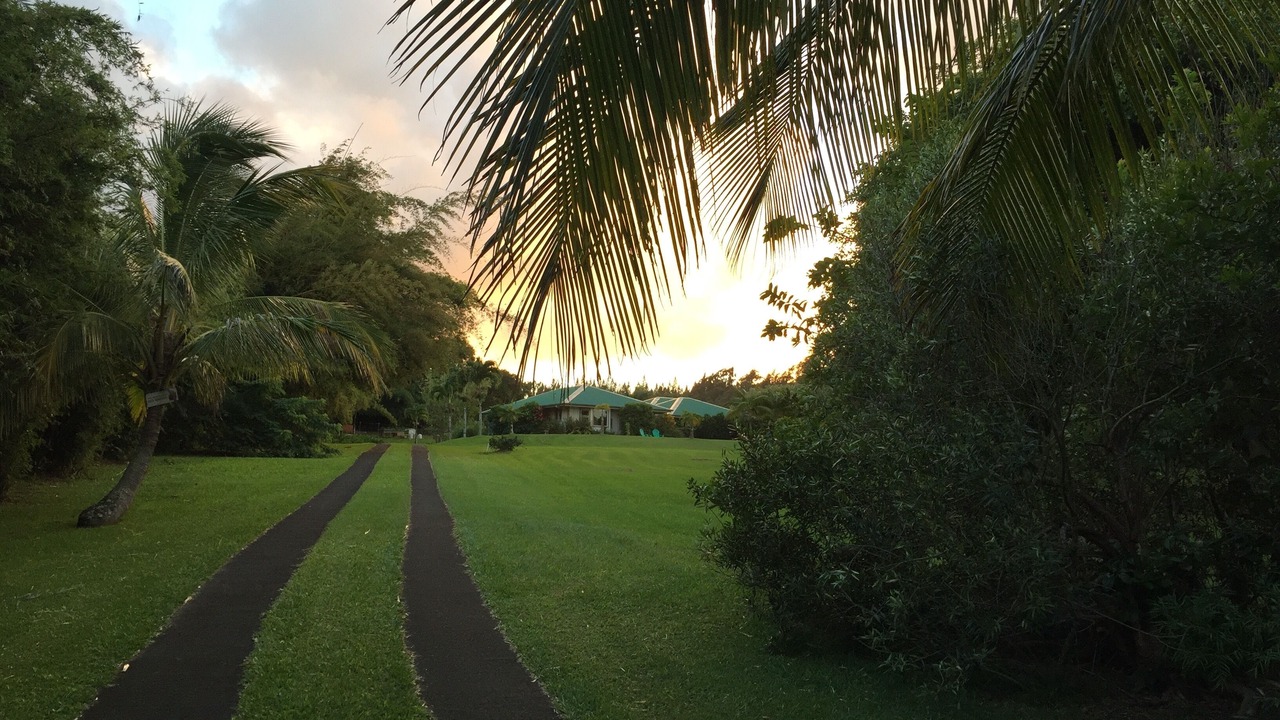 Photo of Others in Kapaau