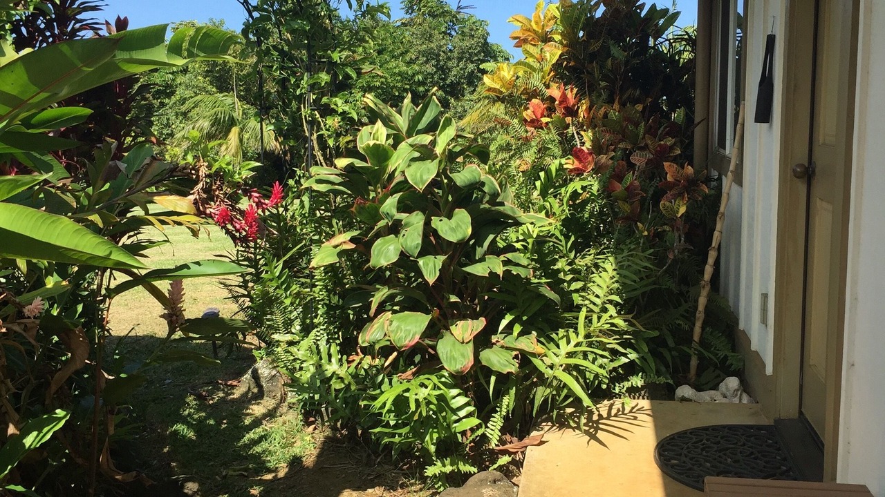 Photo of Outdoor in Kapaau