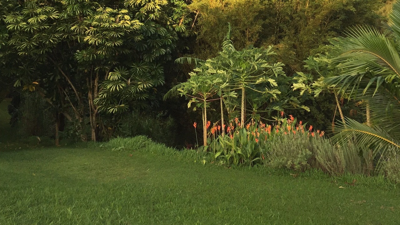 Photo of Others in Kapaau