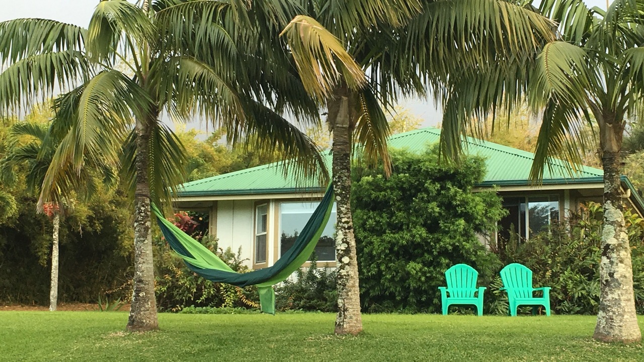 Photo of Others in Kapaau