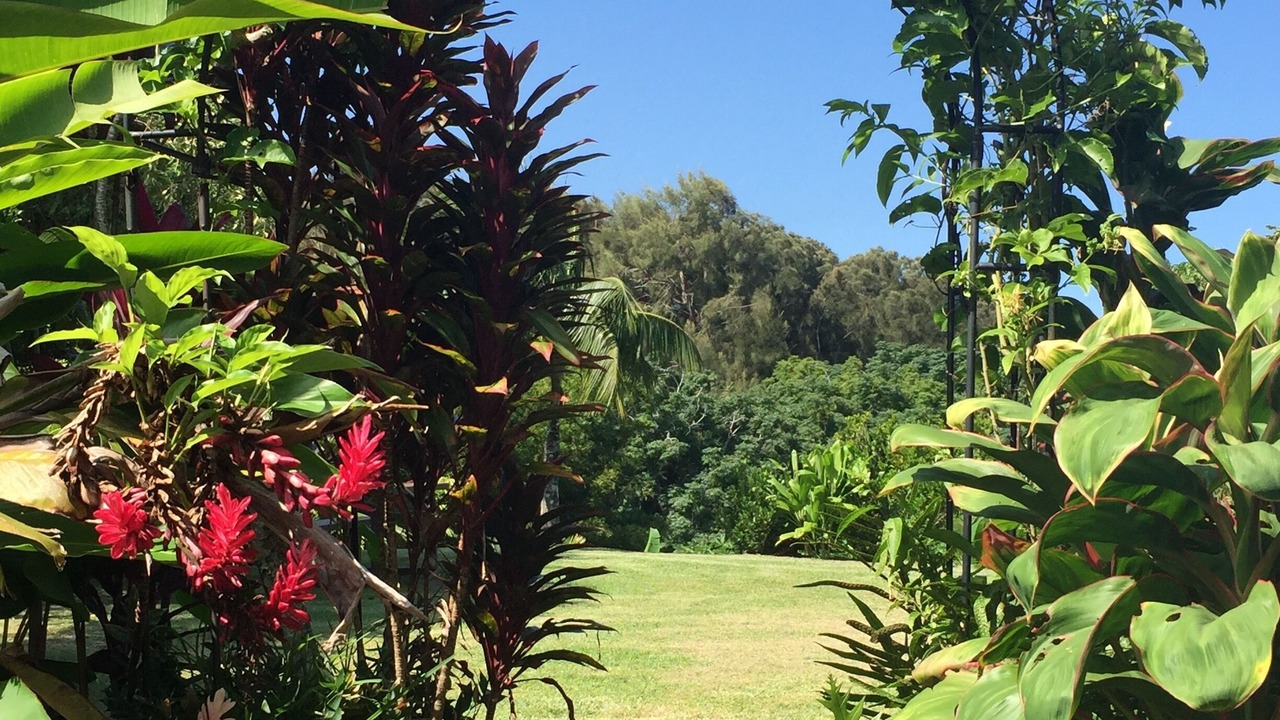 Photo of Others in Kapaau