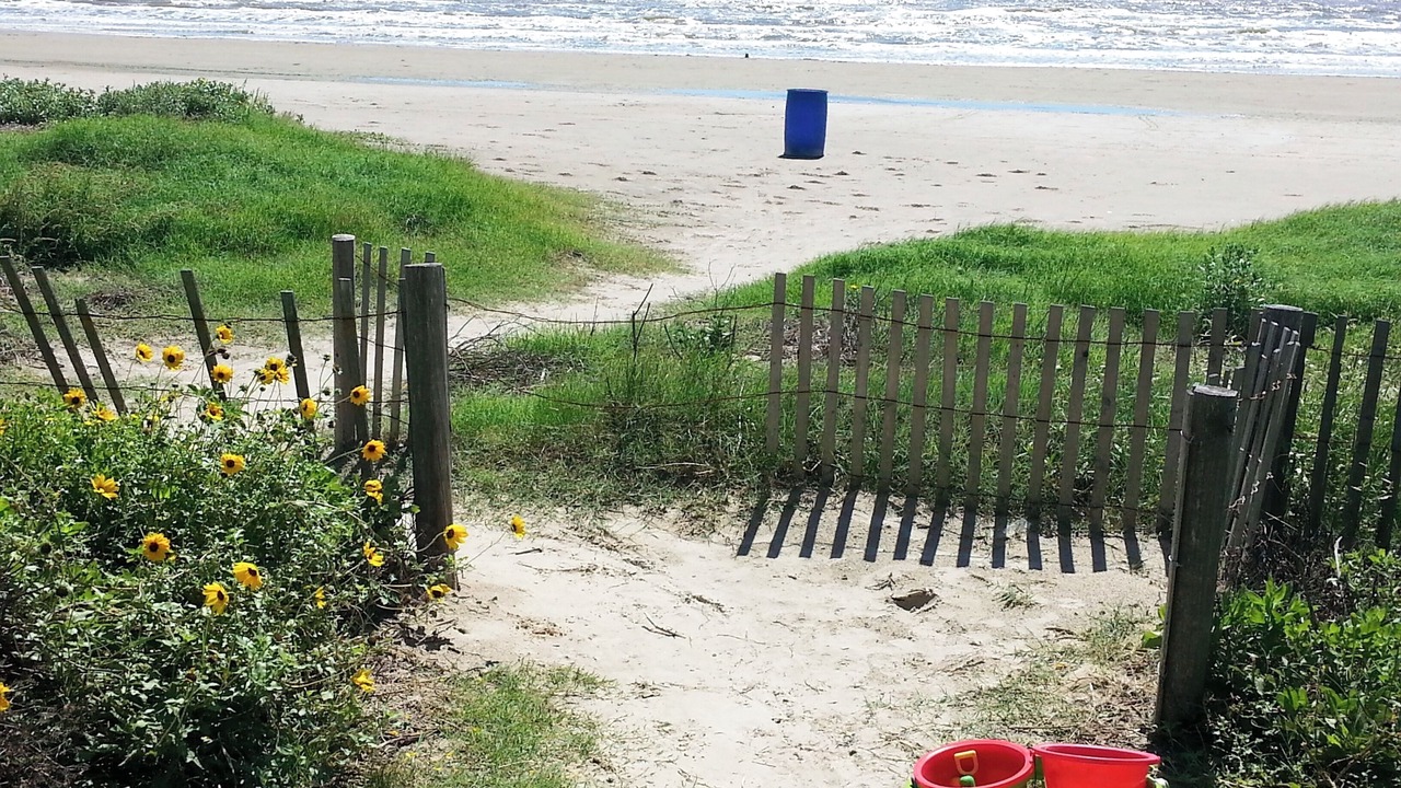 Photo of Others in Galveston