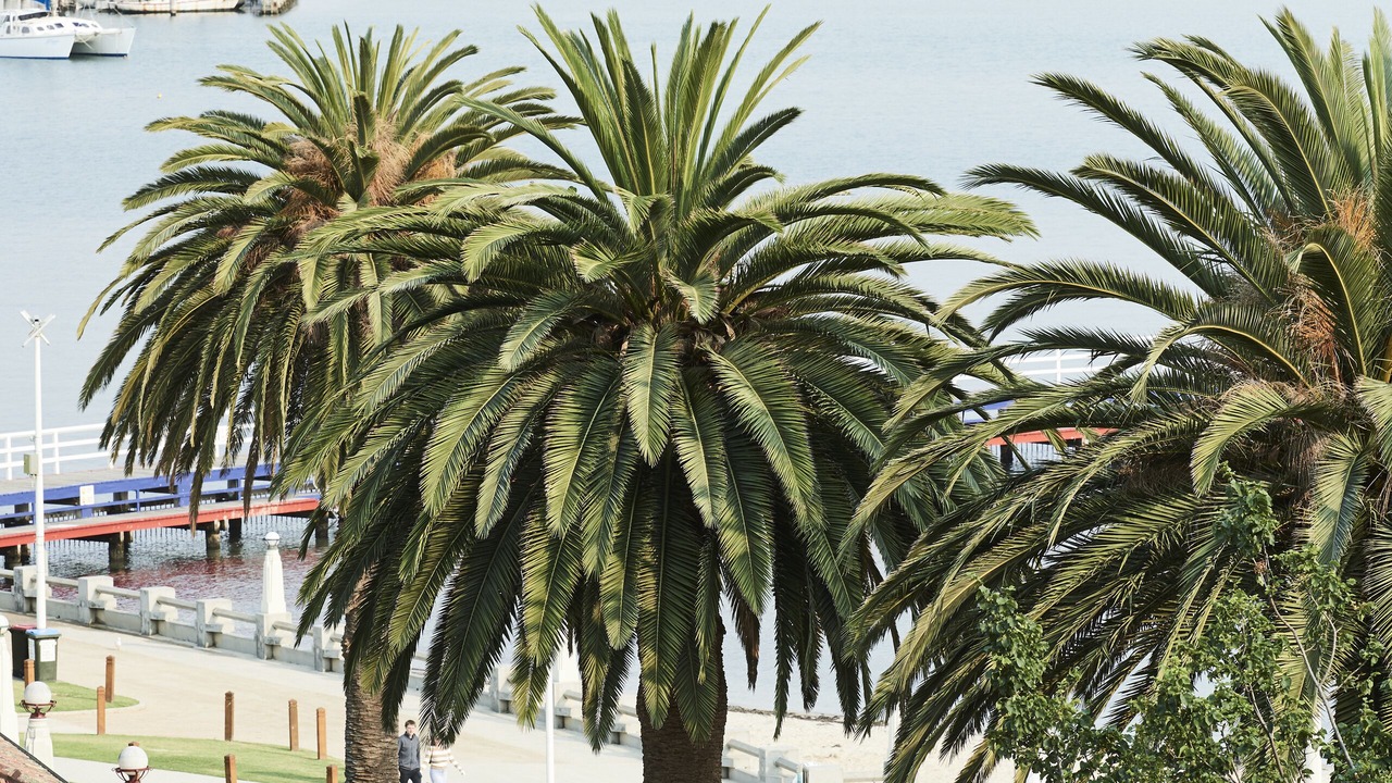 Photo of Others in Geelong