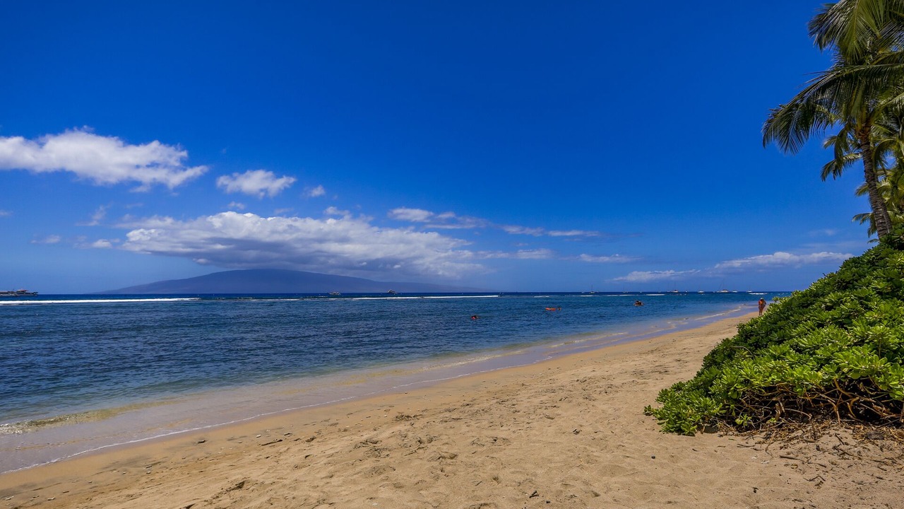 Photo of Others in Historic Lahaina Front Street