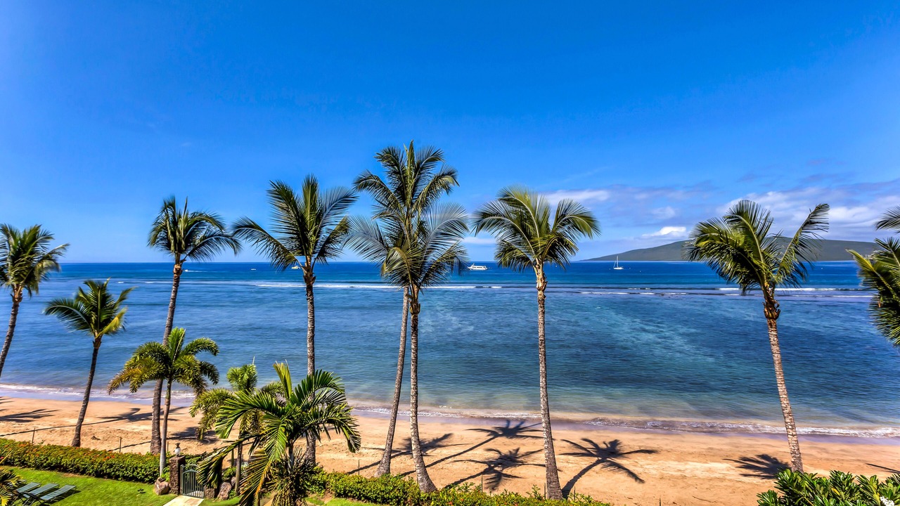 Photo of Others in Historic Lahaina Front Street
