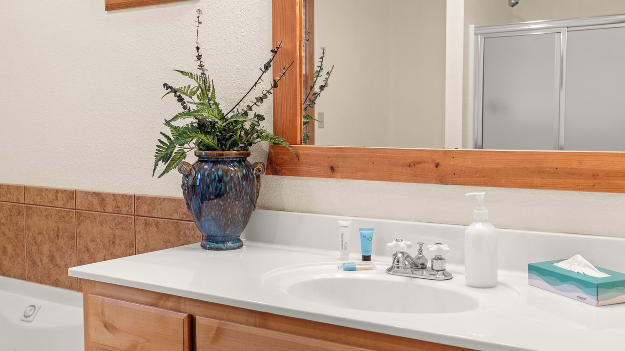 Photo of Bathroom in Branson West