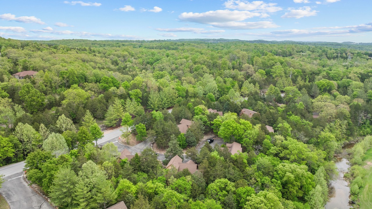 Photo of Outdoor in Branson West