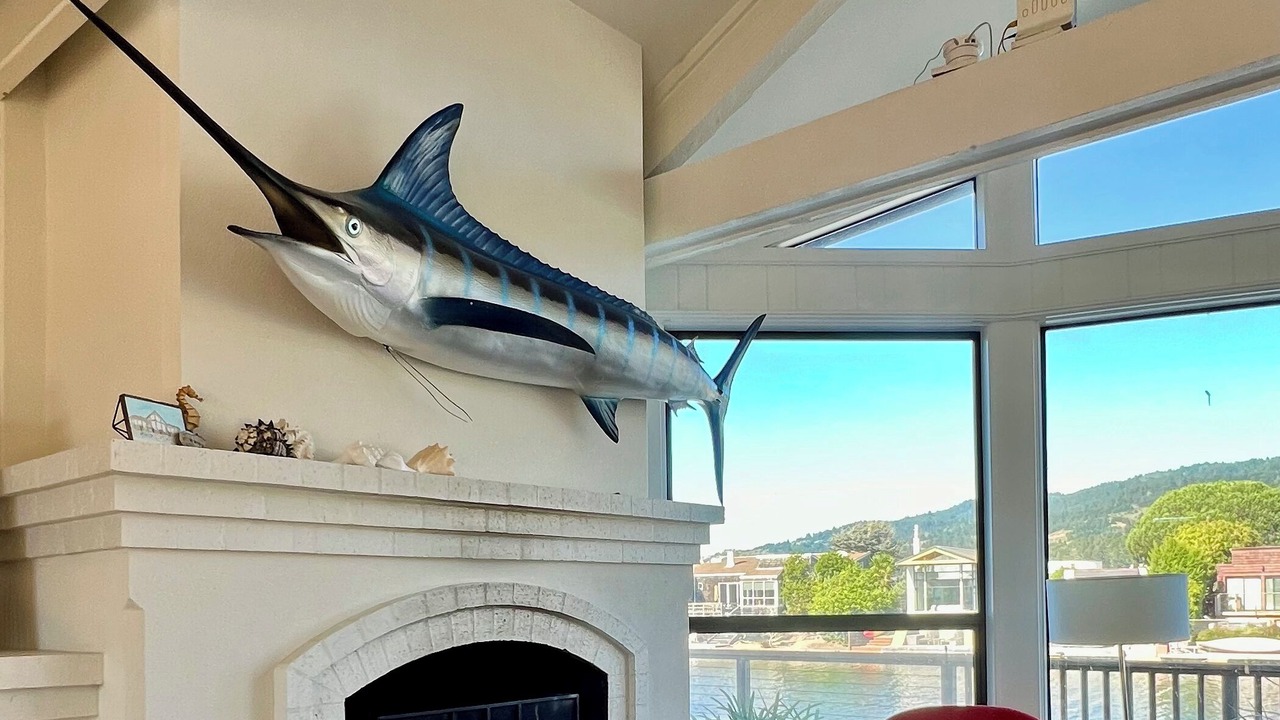 Photo of Others in Stinson Beach