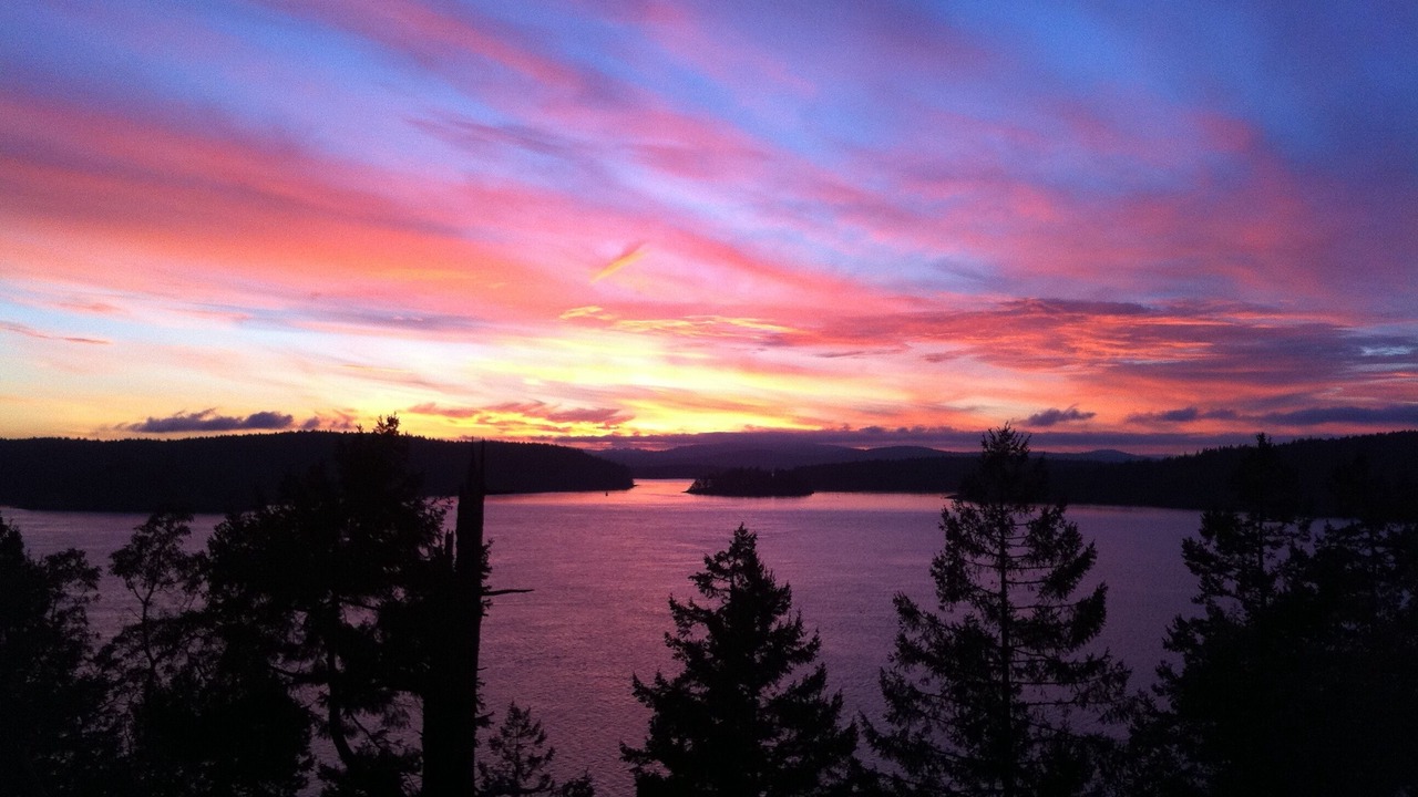 Photo of Others in Orcas