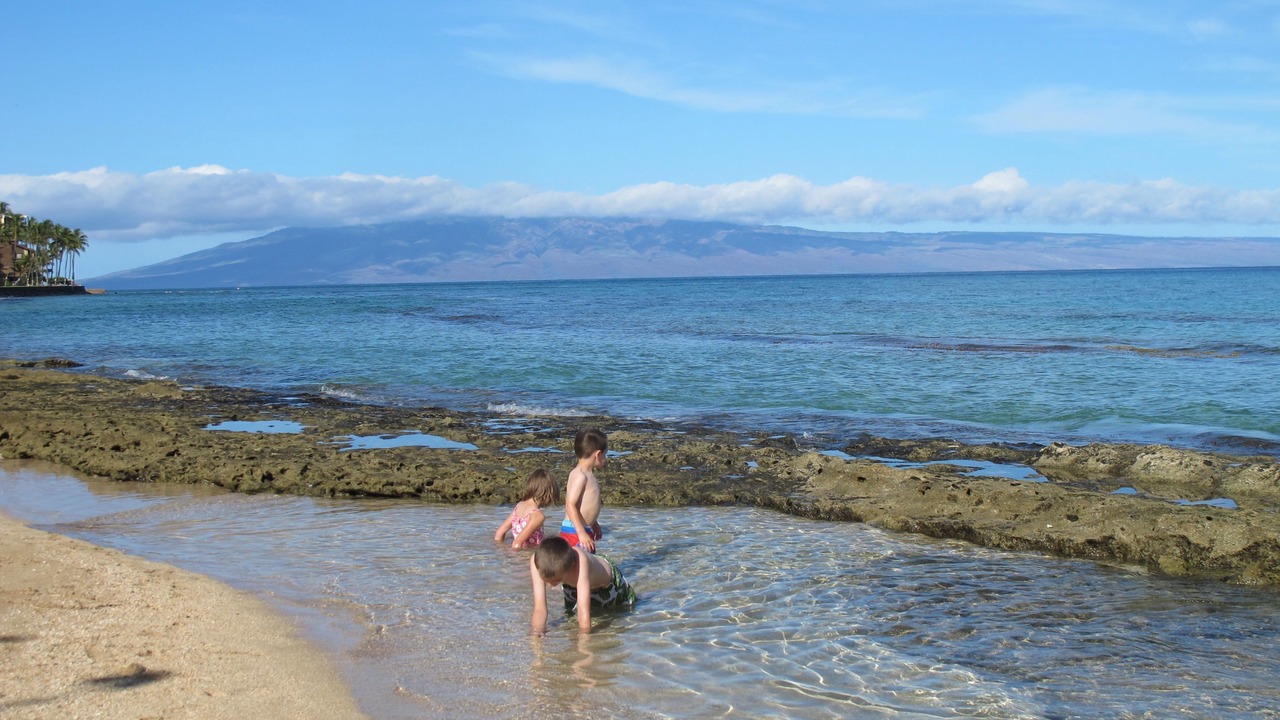 Photo of Others in Honokowai