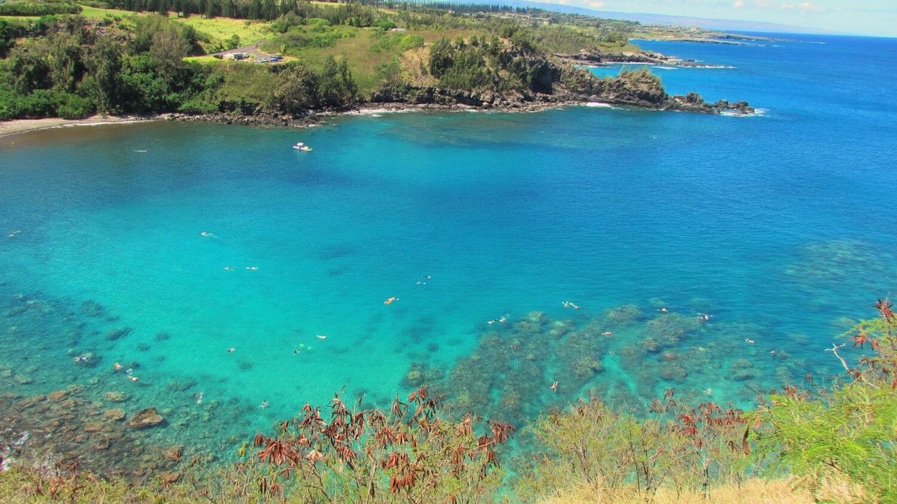 Photo of Others in Honokowai