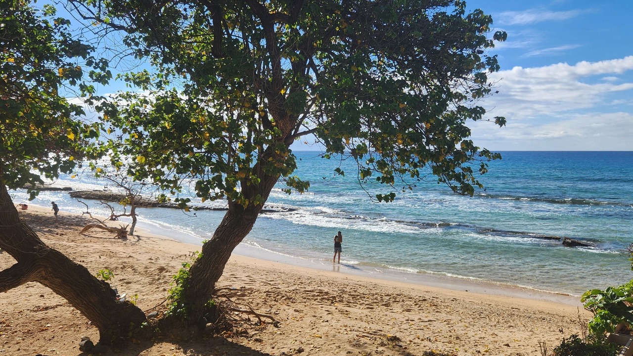 Photo of Others in Honokowai