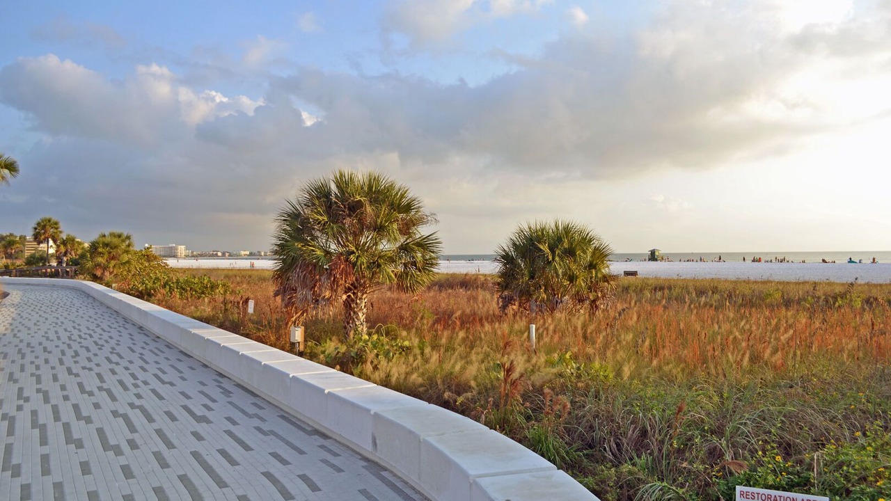 Photo of Others in Siesta Key