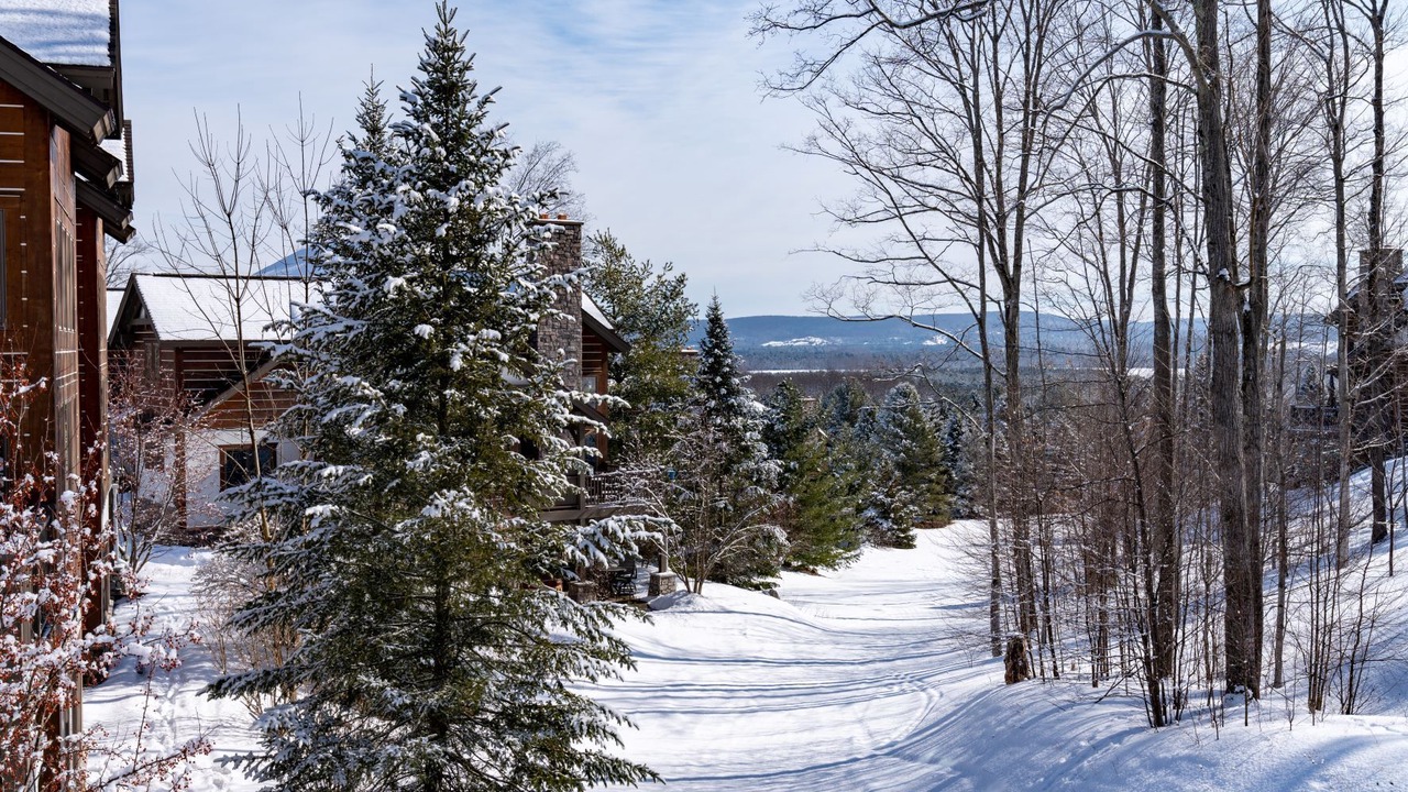 Photo of Others in Boyne Falls