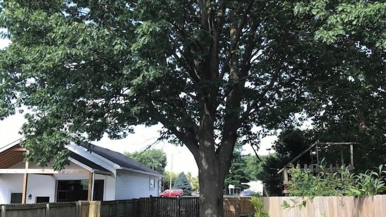 Photo of Outdoor in Germantown