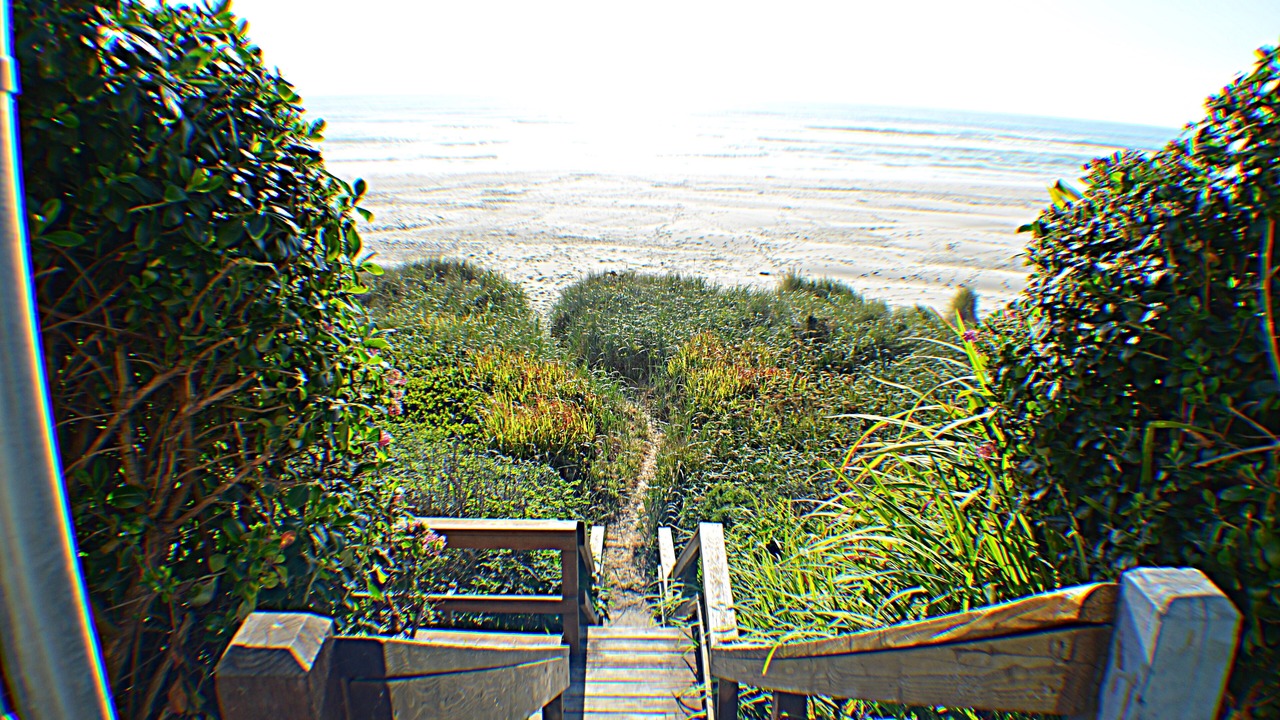 Photo of Others in Edgewater Shores