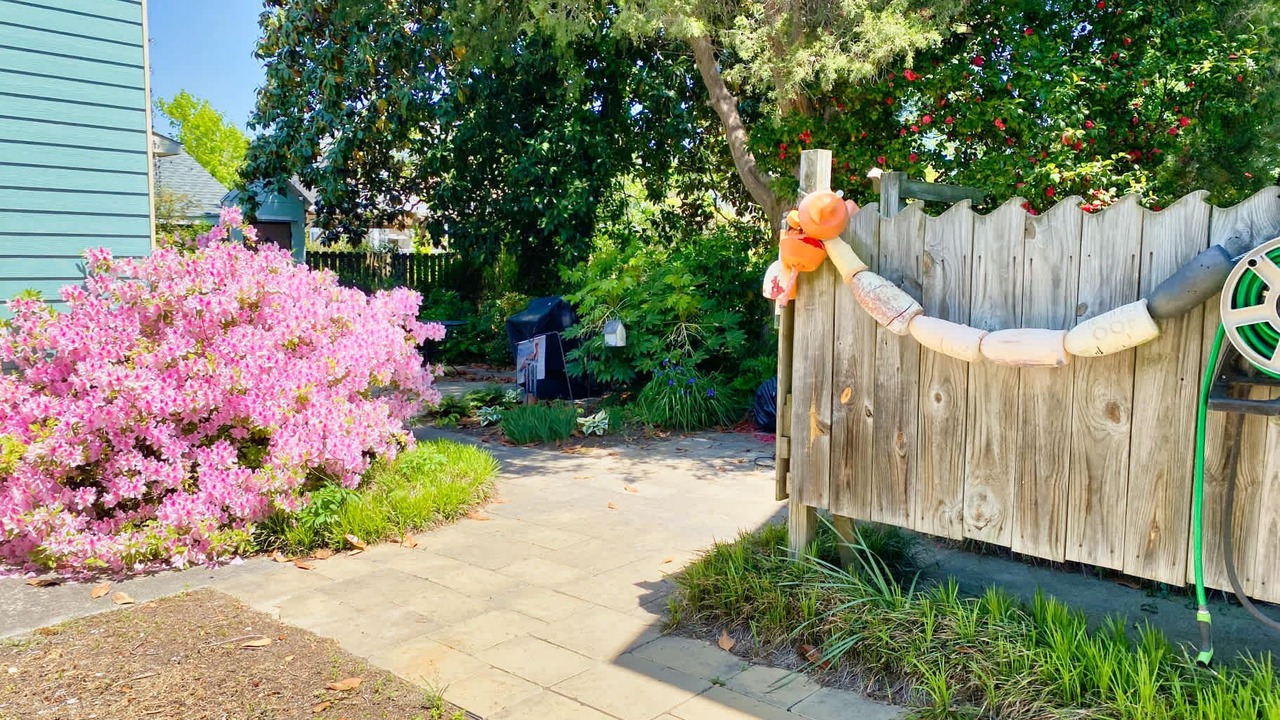 Photo of Outdoor in Cape Charles