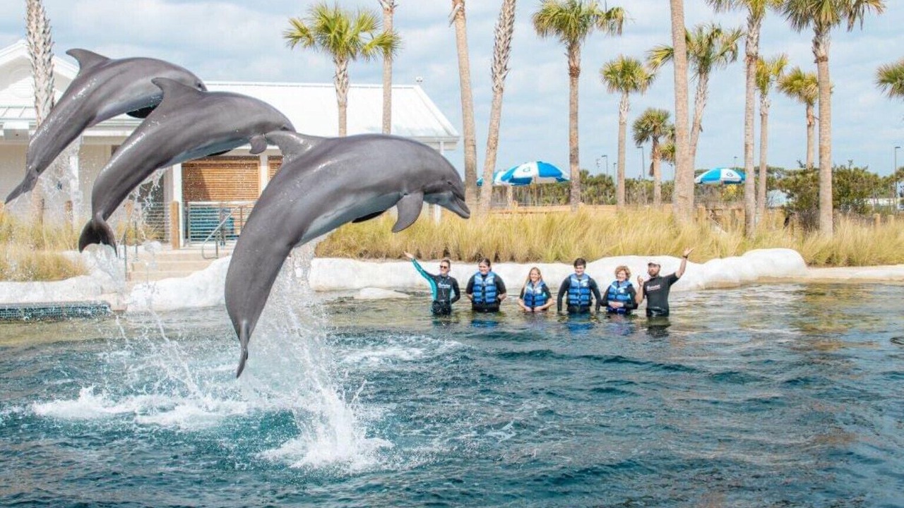 Photo of Outdoor in Fort Walton Beach