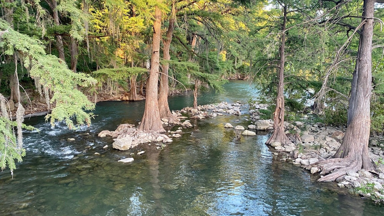 Photo of Others in Gruene