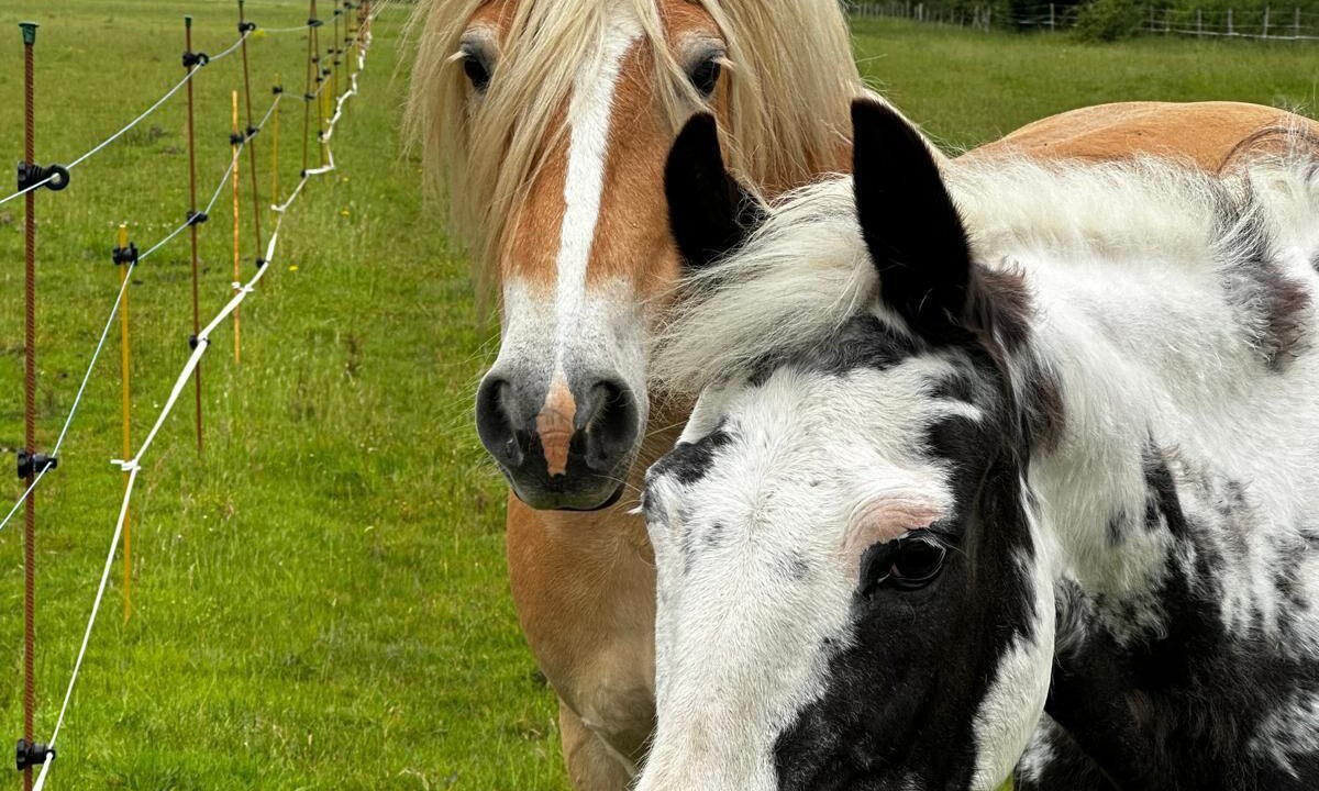 Photo of Others in Autreche
