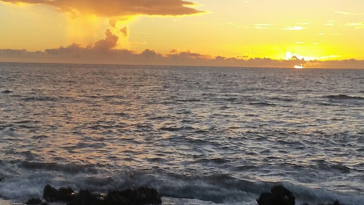 Photo of Others in Kamuela