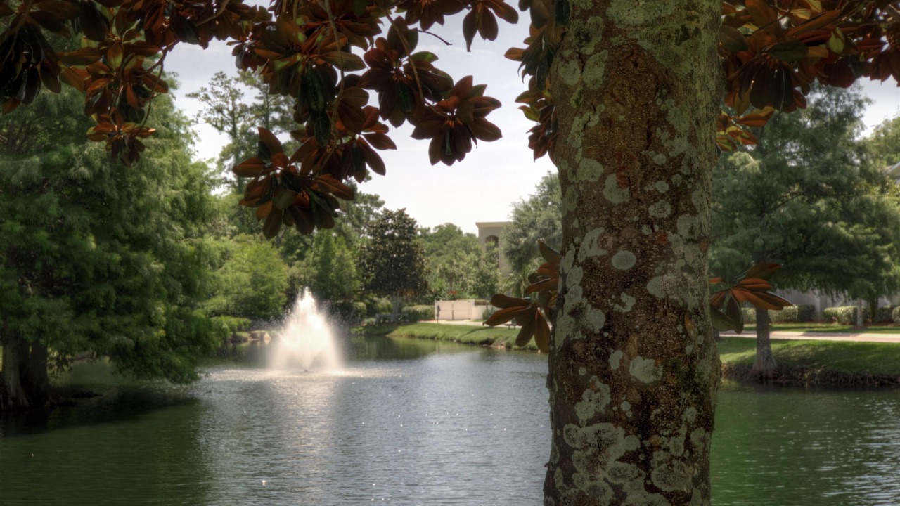 Photo of Outdoor in Demere Park