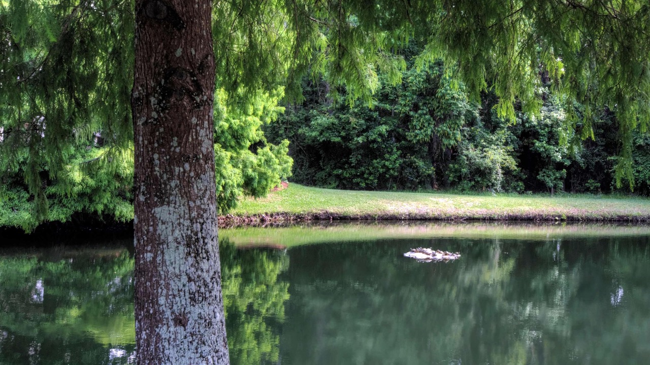 Photo of Outdoor in Demere Park
