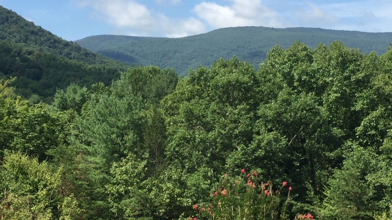 Photo of Others in Crozet
