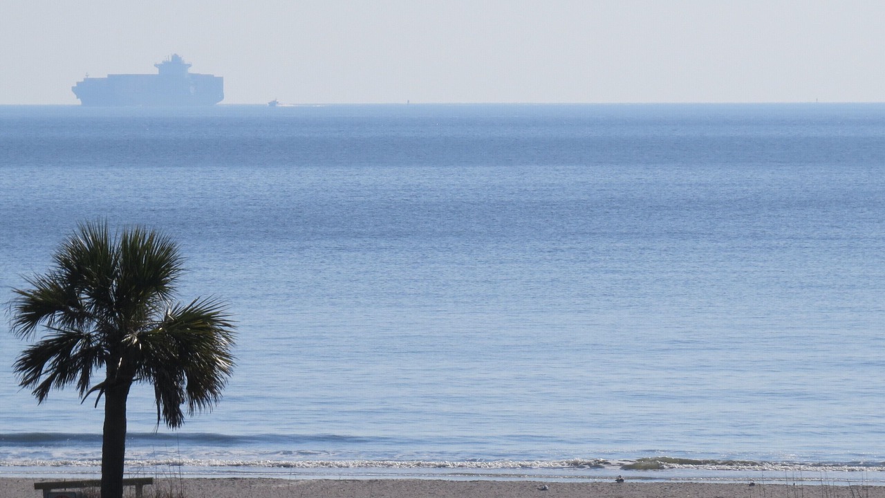 Photo of Others in Tybee Island