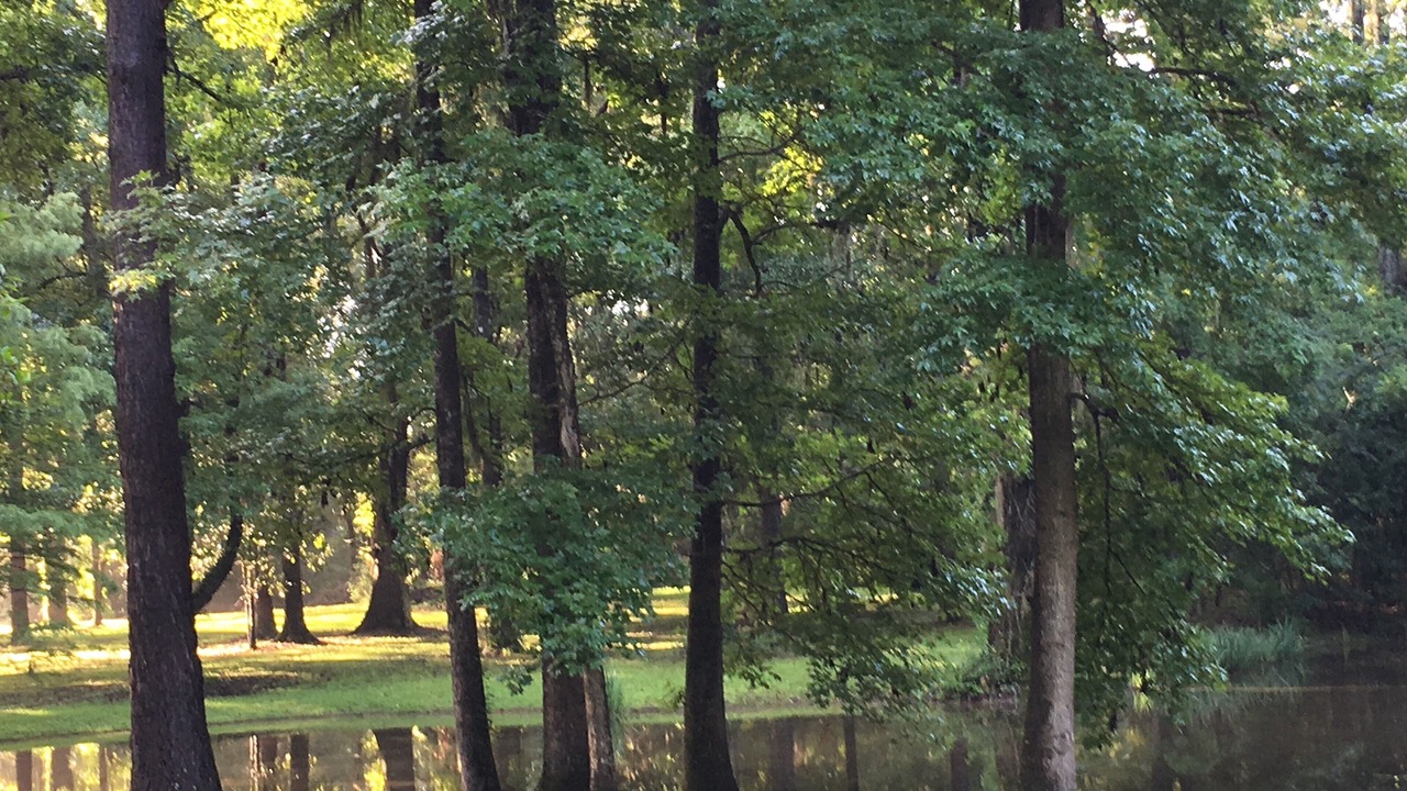 Photo of Others in Natchez