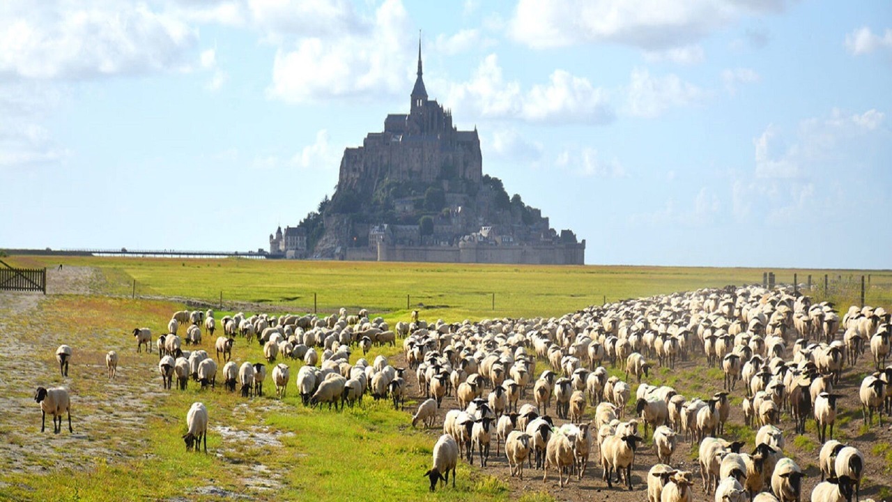 Photo of Others in Pleine-Fougeres