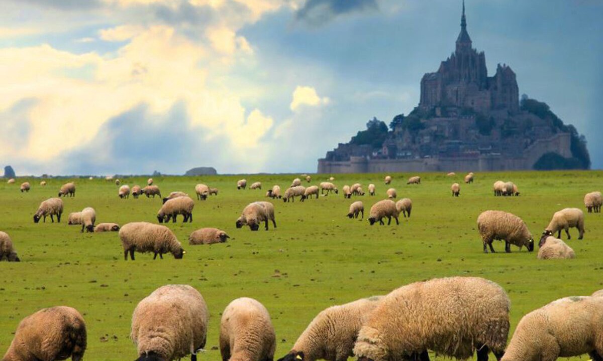 Photo of Others in Donville-les-Bains