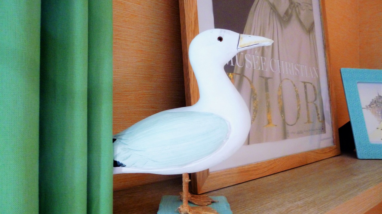 Photo of Others in Donville-les-Bains