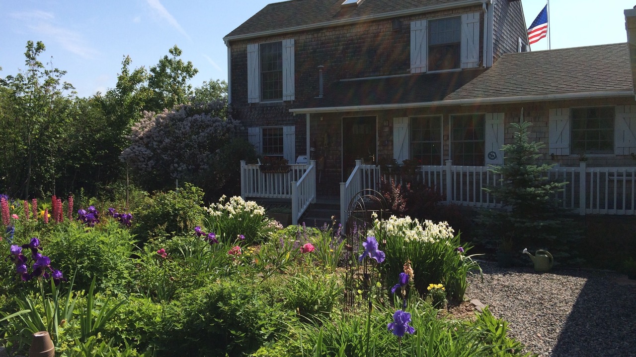 Photo of Others in Eastport