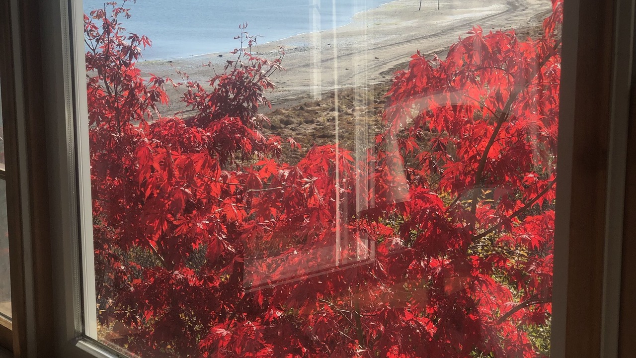 Photo of Bedroom in Eastport