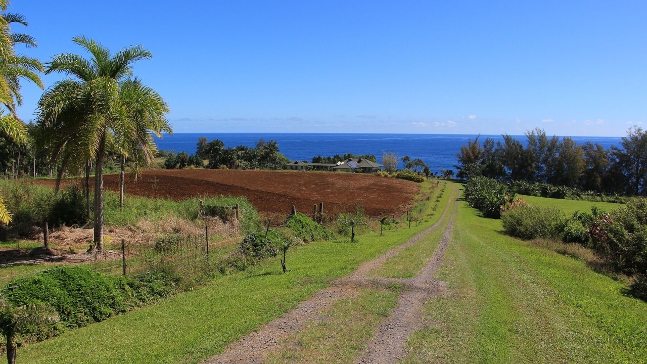 Photo of Others in Papaikou