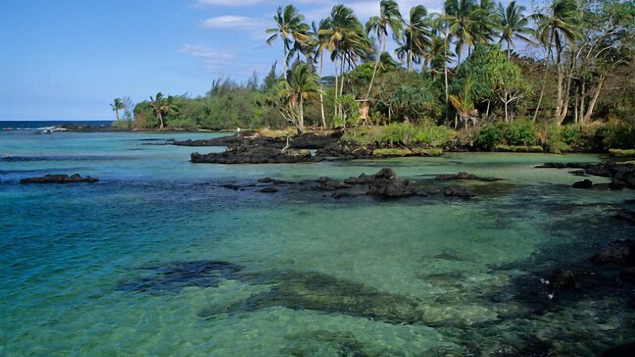 Photo of Others in Papaikou