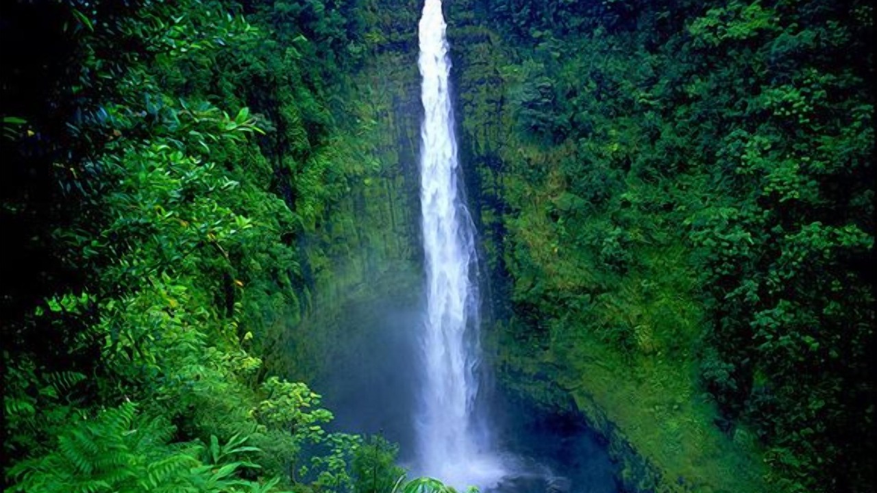 Photo of Others in Papaikou