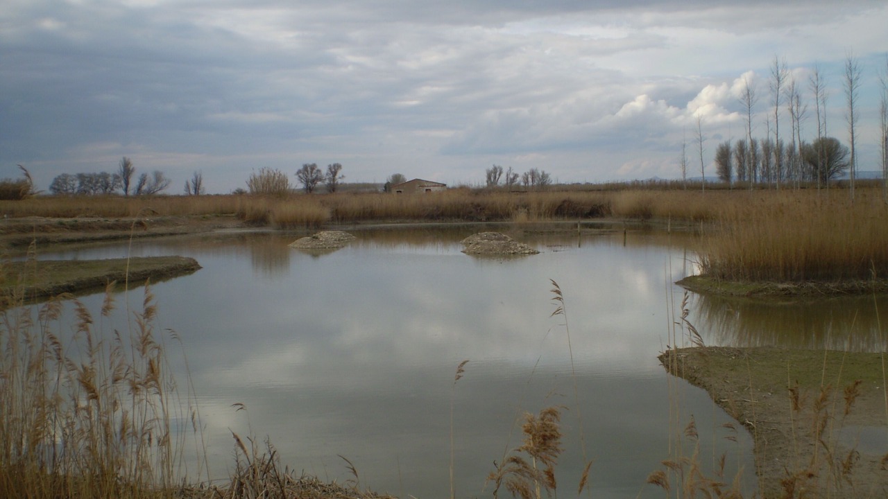Photo of Others in Boquineni
