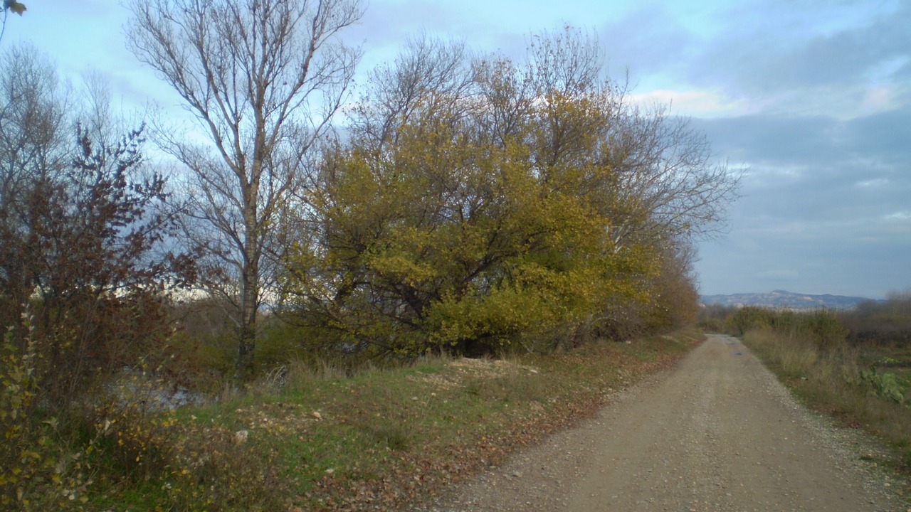 Photo of Others in Boquineni