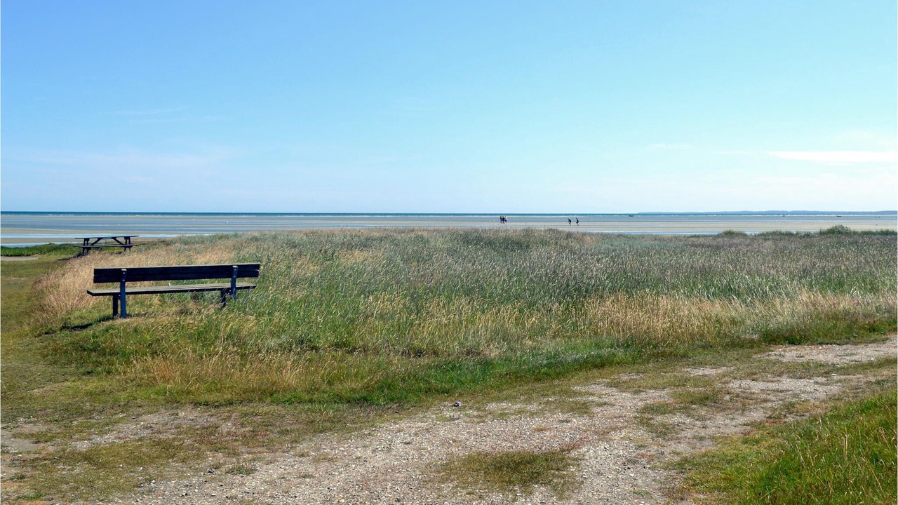 Photo of Others in Ørsted