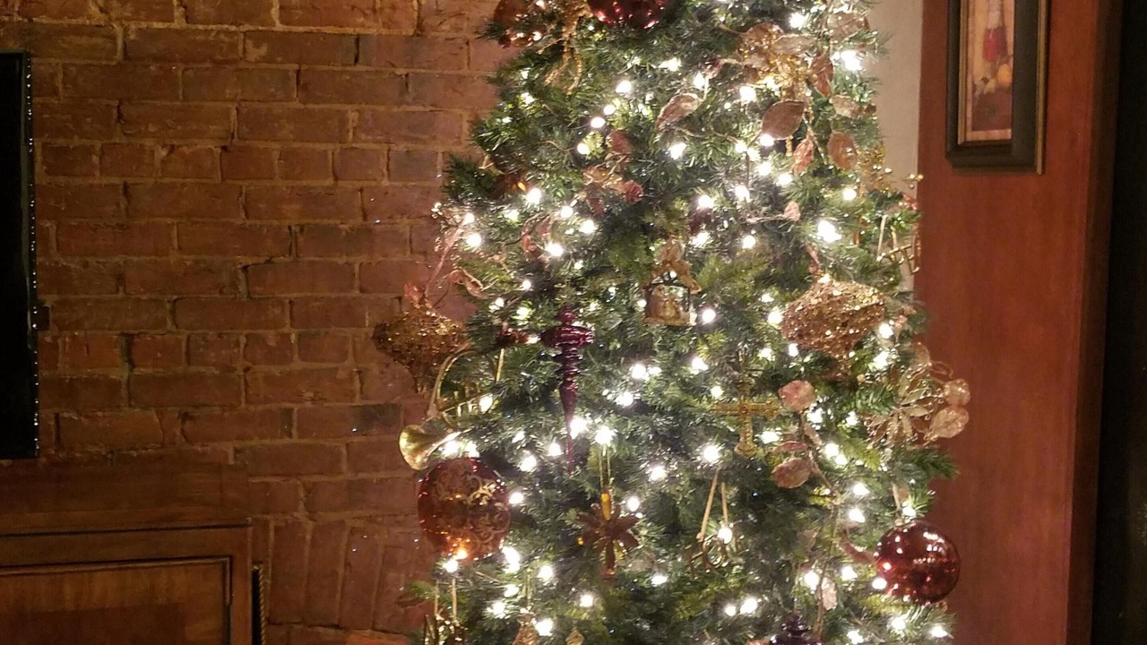 Photo of Others in Carthage