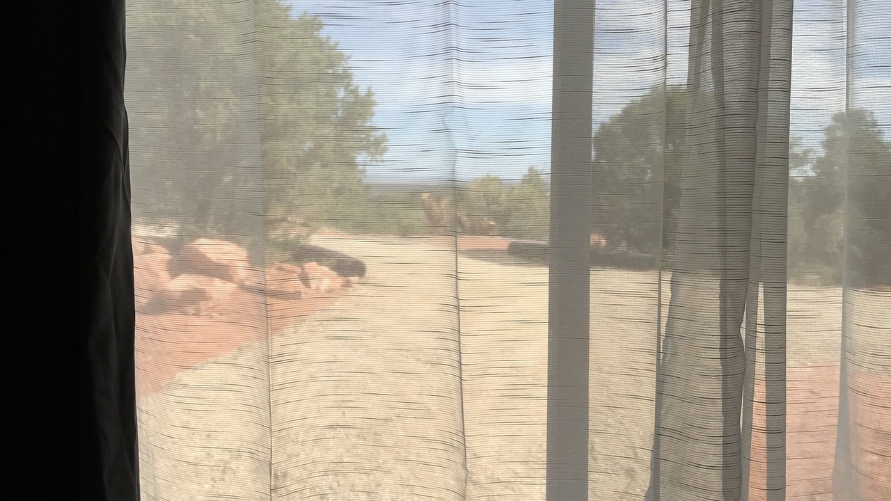 Photo of Others in Kanab