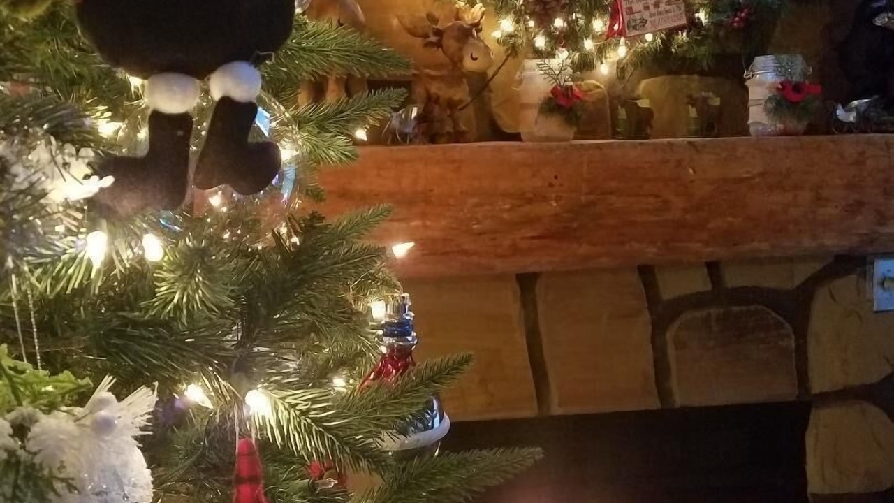 Photo of Others in Sevierville