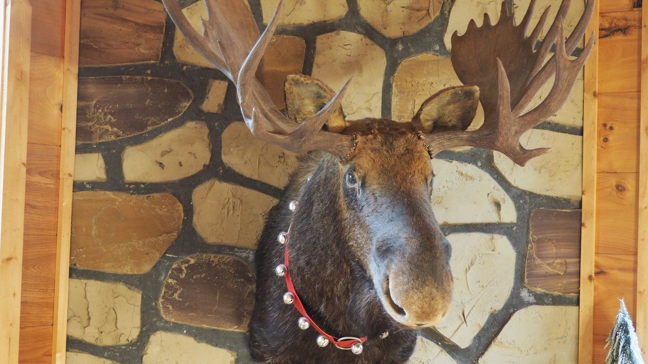 Photo of Others in Sevierville