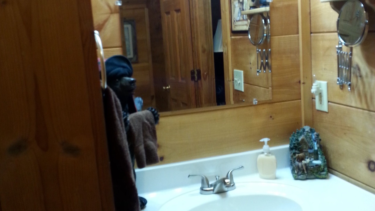 Photo of Bathroom in Sevierville